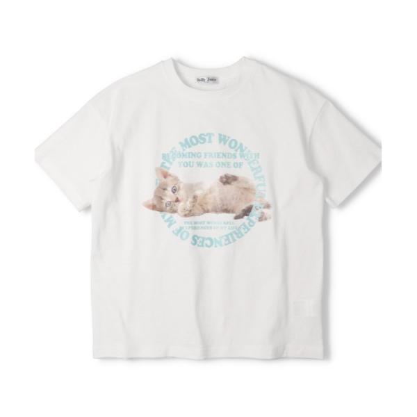 tシャツ 「ジュニア・スクールサイズ」「WEB限定」綿100％　子猫プリントＴシャツ キッズ 子供服 女の子