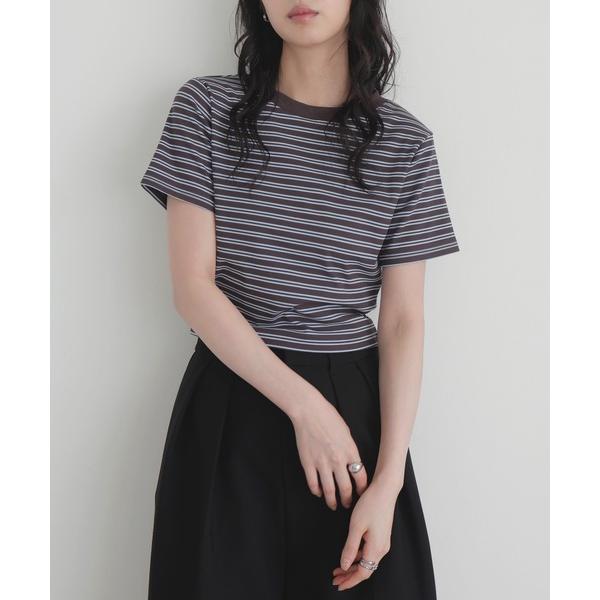 tシャツ 半袖 ボーダークロップドT レディース