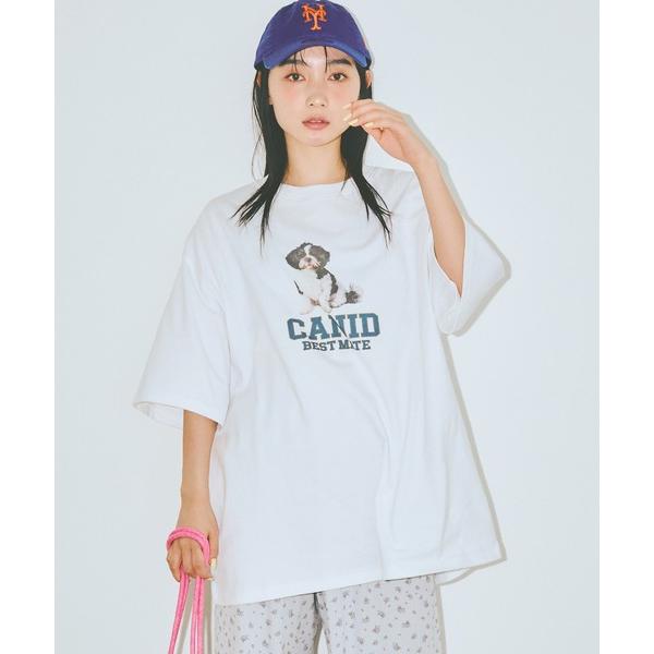アロハシャツ tシャツ 半袖 「AKB48 伊藤百花 着用」ゆるシルエットわんこT「ユニセックス」 レディース メンズ