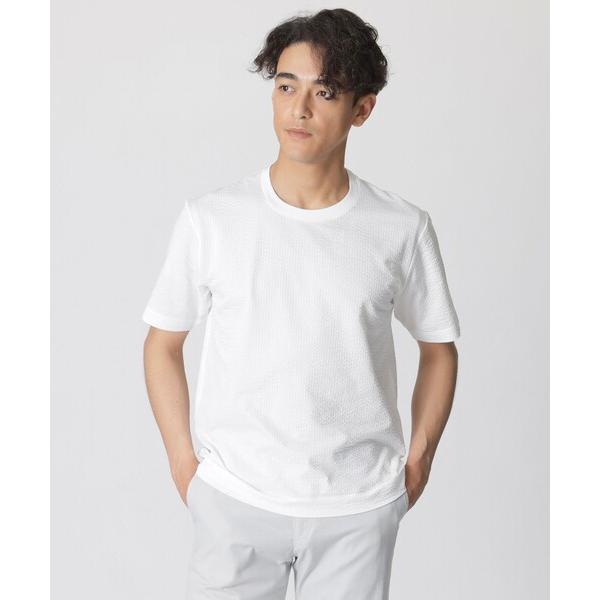 tシャツ 「WEB・一部店舗限定」ストライプサッカージャージー半袖Tシャツ メンズ