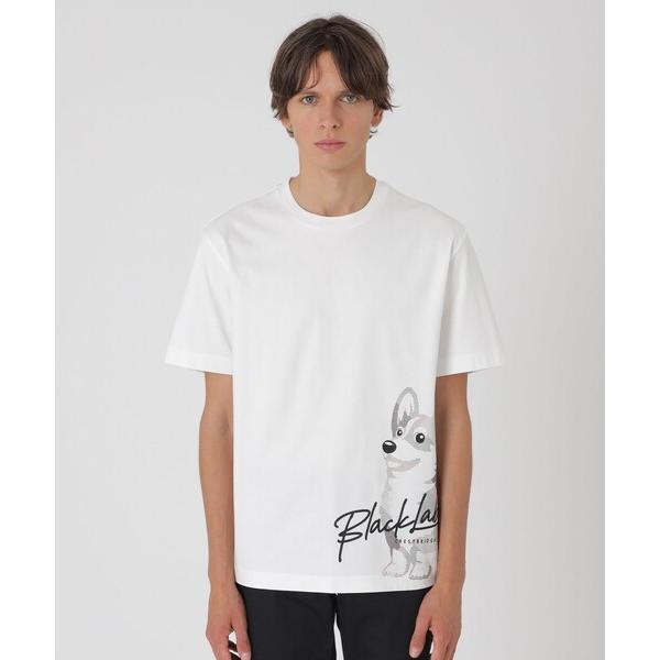 tシャツ ピーキングコーギーTシャツ メンズ