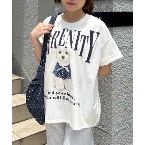 tシャツ 半袖 ちびリボン犬ＢｉｇＴ レディース
