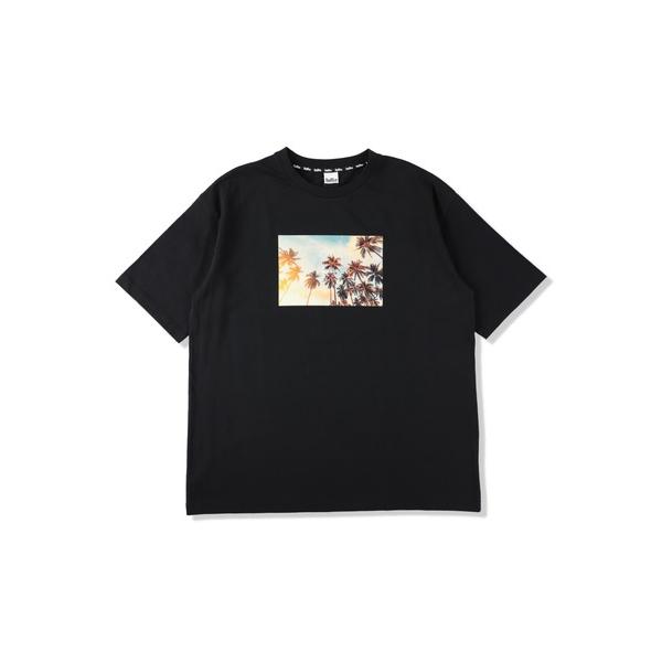 tシャツ DrySilkyCotton Tシャツ  「Sunset palm」 メンズ