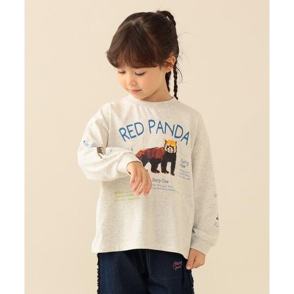tシャツ 「COLLABORATION」那須どうぶつ王国・神戸どうぶつ王国 / 博士 ロングスリーブ Tシャツ 2026FW（90〜140cm）動物園 ハシビロコウ コビトカバ レッ…