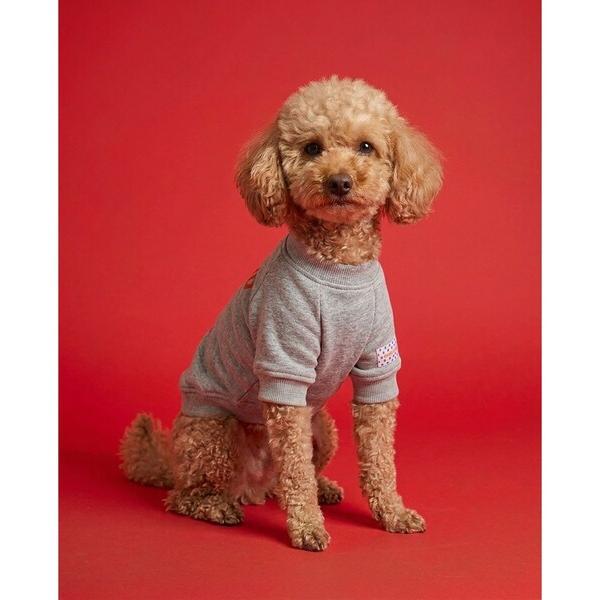 犬 服 pup pup number one sweat ／ パップパップナンバーワンスウェット