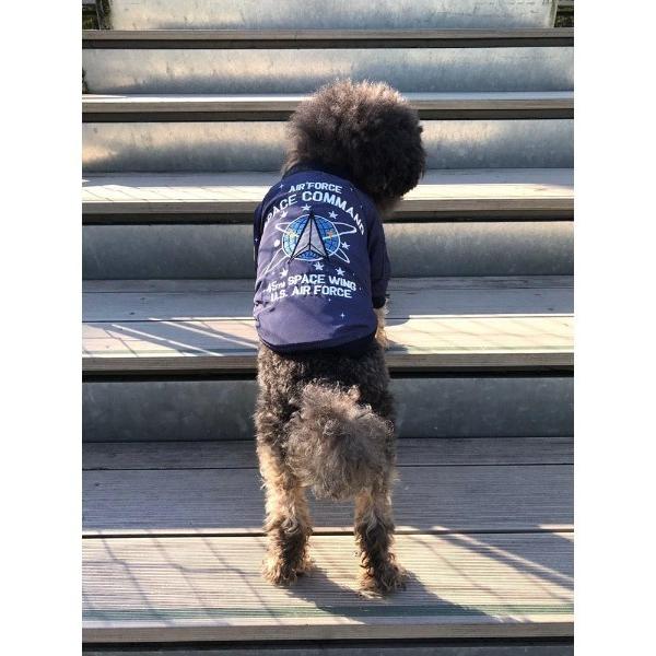 アヴィレックス ペットウェア グッズ Avirexの価格と最安値 おすすめ通販を激安で