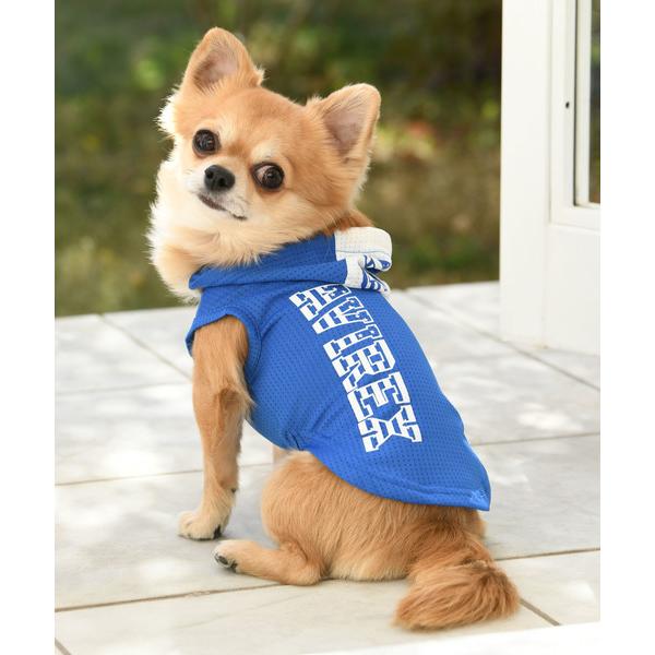 ペット Avirex アヴィレックス ロゴパー ギガランキングｊｐ