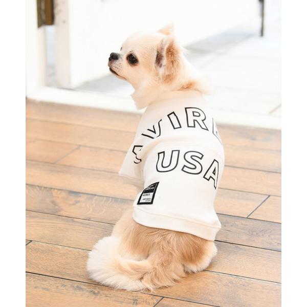 ペット Avirex アヴィレックス ビッグロ ギガランキングｊｐ