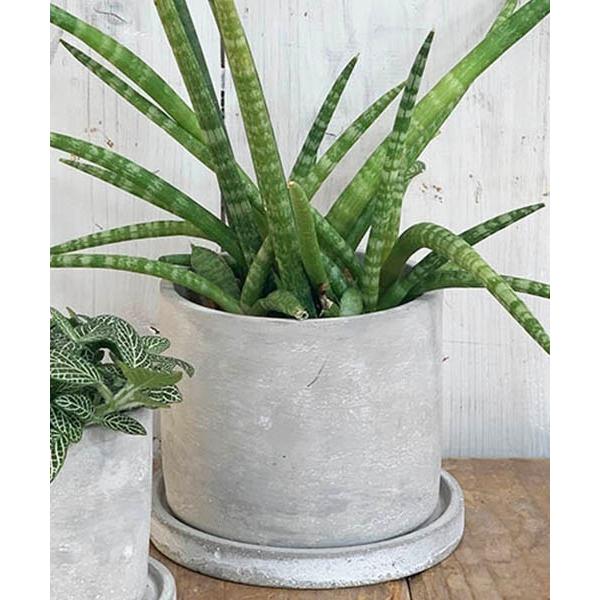 ZOZO問い合わせ番号:57399267ショップ:DULTON，ダルトンブランド:DULTON，ダルトン商品名:CEMENT POT ROUND M/4号 植木鉢カテゴリ:インテリア>フラワーベースブランド品番:G20-0219M素材...