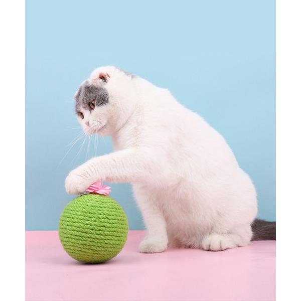 球サボテン形猫用おもちゃ