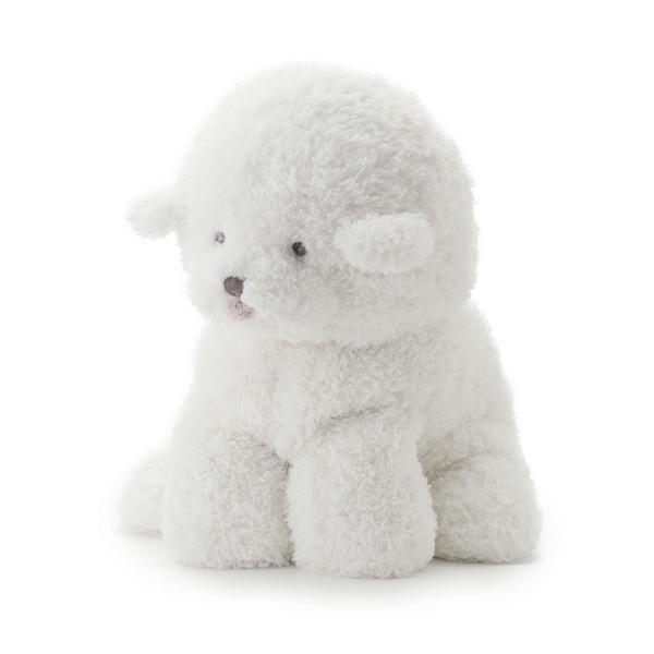 安いビションフリーゼの通販商品を比較 ショッピング情報のオークファン