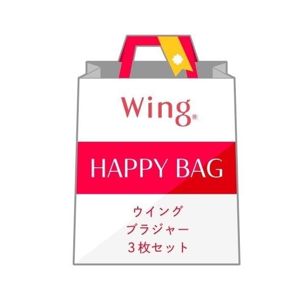 ※このアイテムは返品・交換対象外商品です。ZOZO問い合わせ番号:72155288ショップ:Wacoal，ワコールブランド:Wing，ウイング商品名:「福袋」　ウイング　ブラジャー　3枚セットカテゴリ:アンダーウェア>その他アンダーウ...