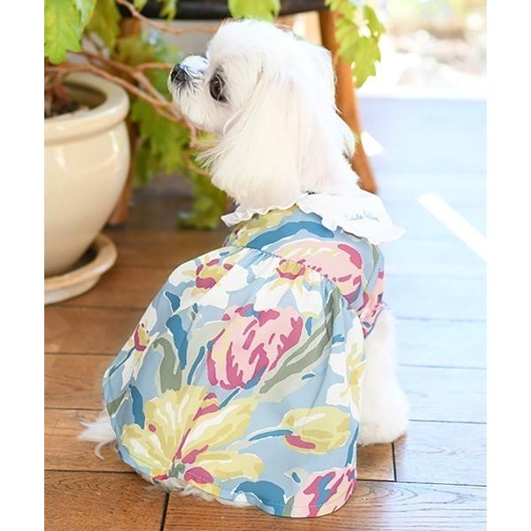 犬 服 LAURA ASHLEY/白襟付きワンピース