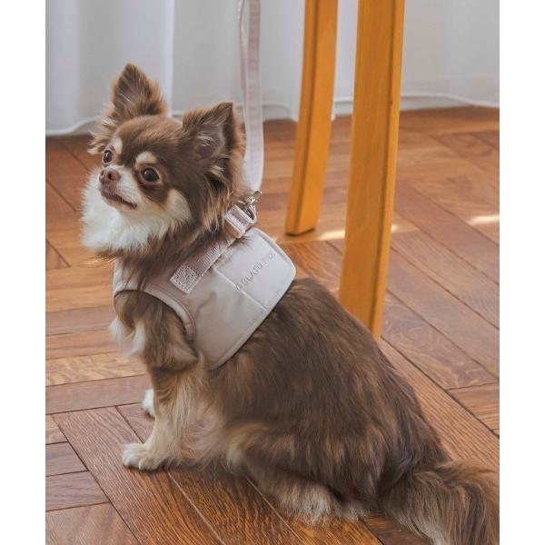 ※このアイテムは返品・交換対象外商品です。ZOZO問い合わせ番号:73759149ショップ:gelato pique，ジェラート　ピケブランド:gelato pique，ジェラートピケ商品名:【CAT＆DOG】【販路限定商品】ハーネスカテゴ...