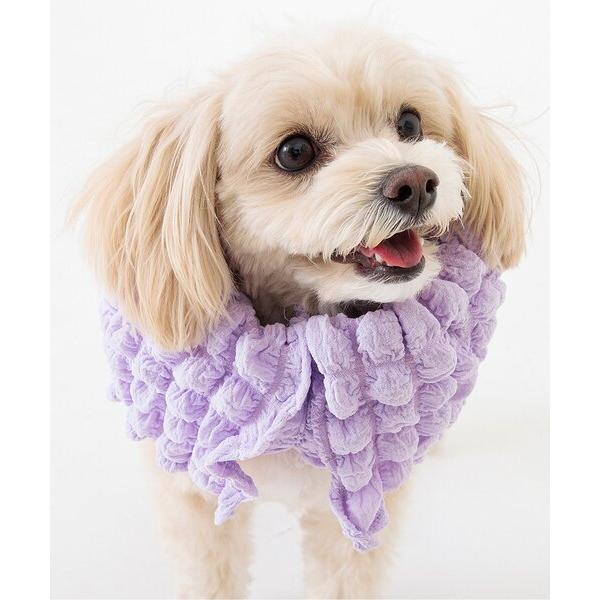 『セール実施中』※このアイテムは返品・交換対象外商品です。ZOZO問い合わせ番号:75322223ショップ:F.O.Online Store，エフオーオンラインストアブランド:Ampersand，アンパサンド商品名:もこもこクールネックカラ...