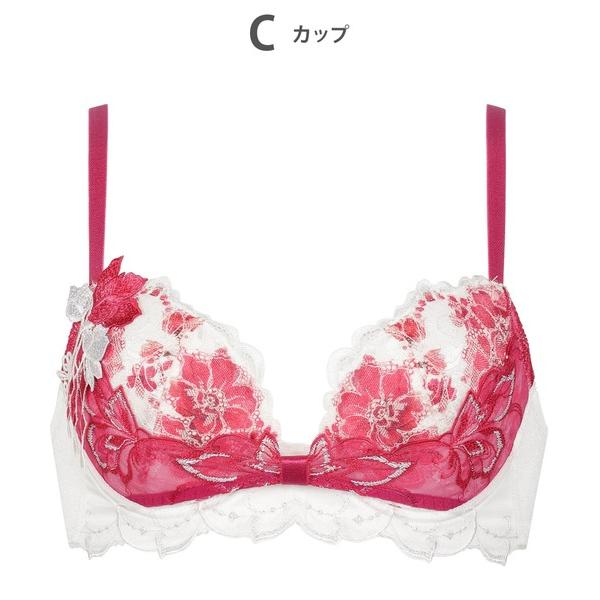 ワコール ブラジャー ルジェ　ブラジャー　「リボンブラ」