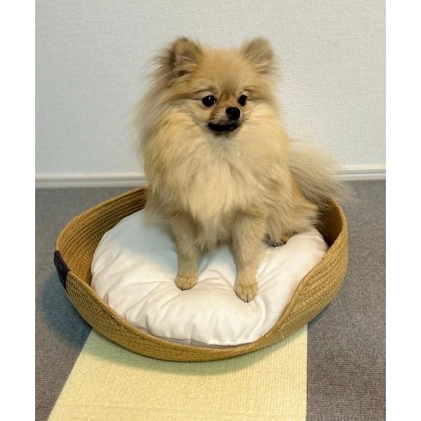 『タイムセール実施中』※このアイテムは返品・交換対象外商品です。ZOZO問い合わせ番号:80634443ショップ:LAKOLE，ラコレブランド:LAKOLE，ラコレ商品名:バスケットペットベッド(S) / 994461カテゴリ:ペットグッズ...