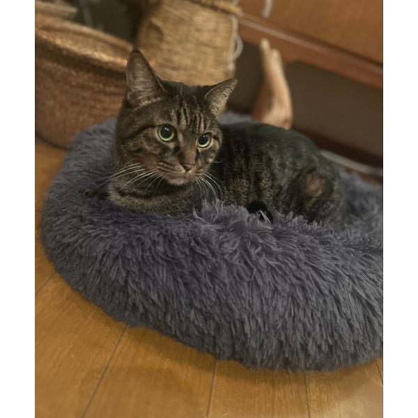 ラウンドふわふわペットベット(50cm) / 994592