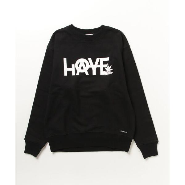 トレーナー スウェット 「drestrip / ドレストリップ」裏毛C・P/O L/S（LOVE-HATE） メンズ