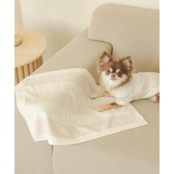 ※このアイテムは返品・交換対象外商品です。ZOZO問い合わせ番号:87849348ショップ:gelato pique，ジェラート　ピケブランド:gelato pique，ジェラートピケ商品名:【CAT＆DOG】スムーズィー2ボーダーブランケ...