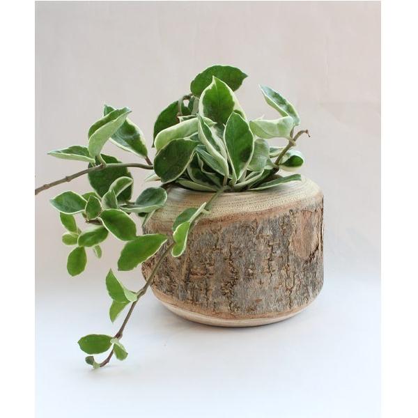 ZOZO問い合わせ番号:88906594ショップ:GEORGE'S，ジョージズブランド:GEORGE'S，ジョージズ商品名:クルス ポット 12カテゴリ:インテリア>フラワーベースブランド品番:368739素材:木カラー:ウッドサイズ...