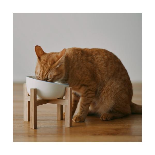 ※このアイテムは返品・交換対象外商品です。ZOZO問い合わせ番号:89632201ショップ:無印良品，ムジルシリョウヒンブランド:無印良品，ムジルシリョウヒン商品名:磁器　ペット用フードボウル　小  ブルーラインカテゴリ:ペットグッズ&gt...