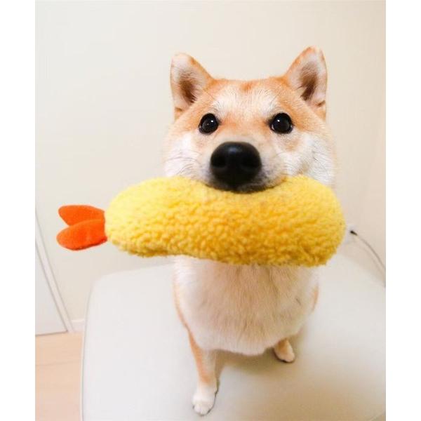 『タイムセール実施中』※このアイテムは返品・交換対象外商品です。ZOZO問い合わせ番号:89928082ショップ:CALIFORNIA OUTFITTERS，カリフォルニア アウトフィッターズブランド:CALIFORNIA OUTFITTE...