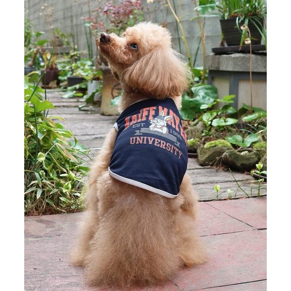 クリフ メイヤー KRIFF MAYER DOGウェットプロテクトT(カレッジ)【返品不可商品】 （NAVY）