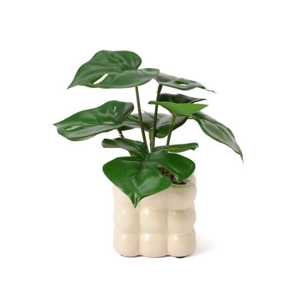 ZOZO問い合わせ番号:94952425ショップ:Francfranc，フランフランブランド:Francfranc，フランフラン商品名:ポット付きアートグリーン モンステラカテゴリ:インテリア>インテリア雑貨ブランド品番:111107...