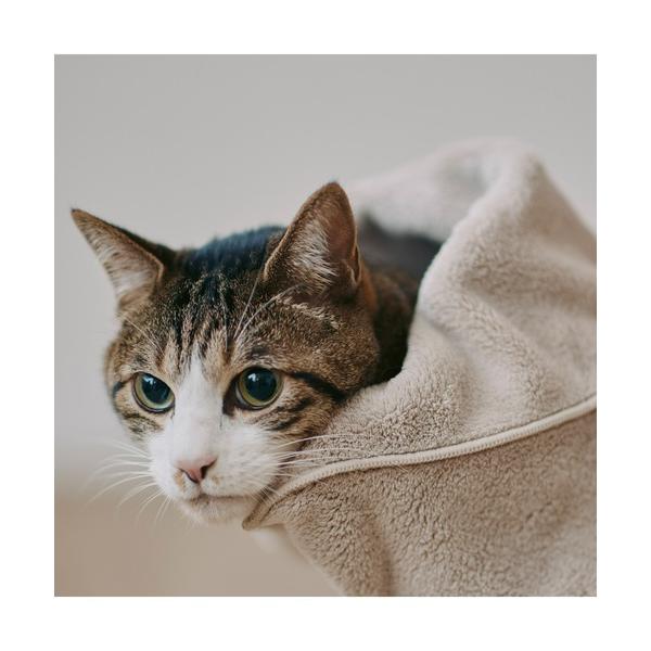 ※このアイテムは返品・交換対象外商品です。ZOZO問い合わせ番号:96831257ショップ:無印良品，ムジルシリョウヒンブランド:無印良品，ムジルシリョウヒン商品名:マイクロファイバー　ポケット付ペット用タオル　３４×３５ｃｍカテゴリ:ペッ...