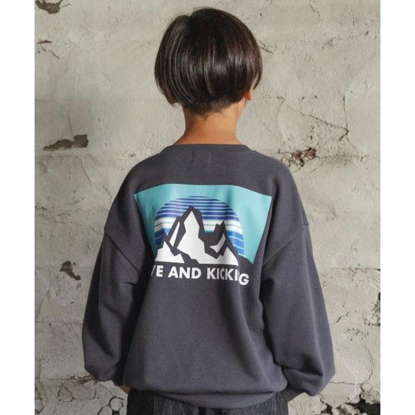 ZOZO問い合わせ番号:98135371ショップ:branshes，ブランシェスブランド:DRC branshes，ディーアールシーブランシェス，branshes，ブランシェス商品名:【DRC】アソートグラフィック裏毛トレーナーカテゴリ:ト...