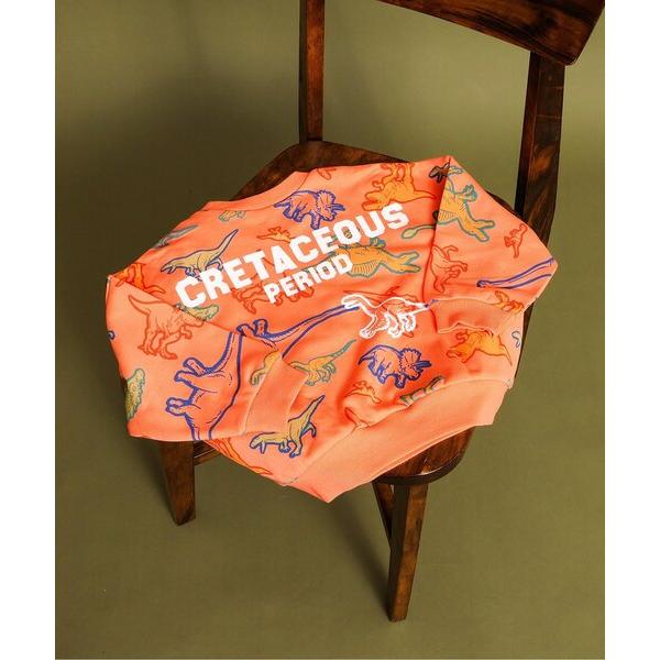 ZOZO問い合わせ番号:98579645ショップ:F.O.Online Store，エフオーオンラインストアブランド:BREEZE，ブリーズ商品名:福井県立恐竜博物館コラボ カラフルDino総柄トレーナーカテゴリ:トップス>スウェット...