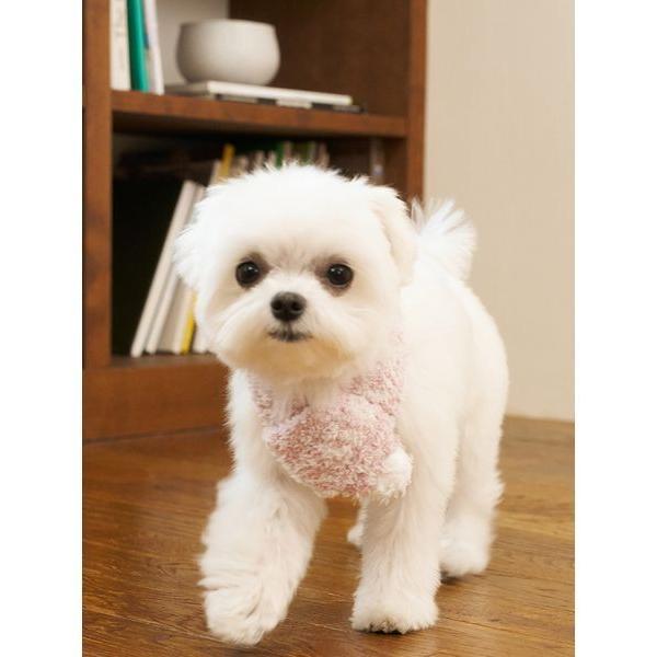 『タイムセール実施中』※このアイテムは返品・交換対象外商品です。ZOZO問い合わせ番号:99379931ショップ:gelato pique，ジェラート　ピケブランド:gelato pique，ジェラートピケ商品名:【CAT＆DOG】ジェラー...