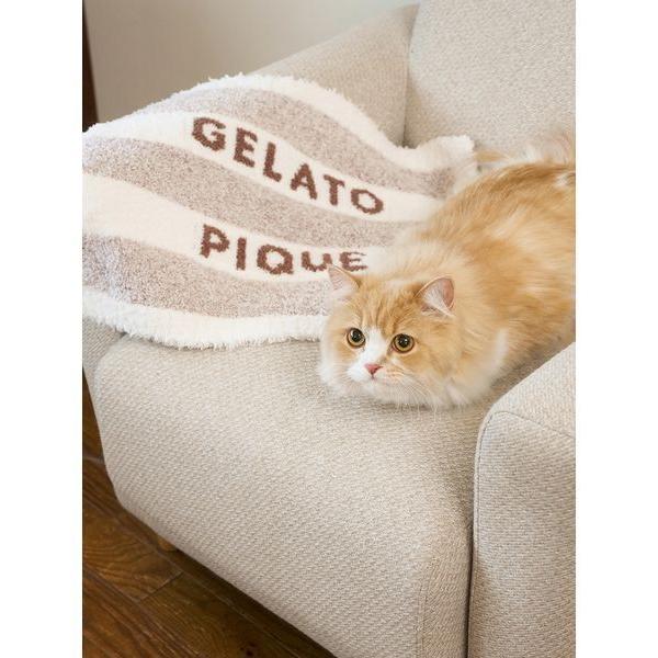 ※このアイテムは返品・交換対象外商品です。ZOZO問い合わせ番号:99379932ショップ:gelato pique，ジェラート　ピケブランド:gelato pique，ジェラートピケ商品名:【CAT＆DOG】ジェラートメランジ2ボーダーブ...