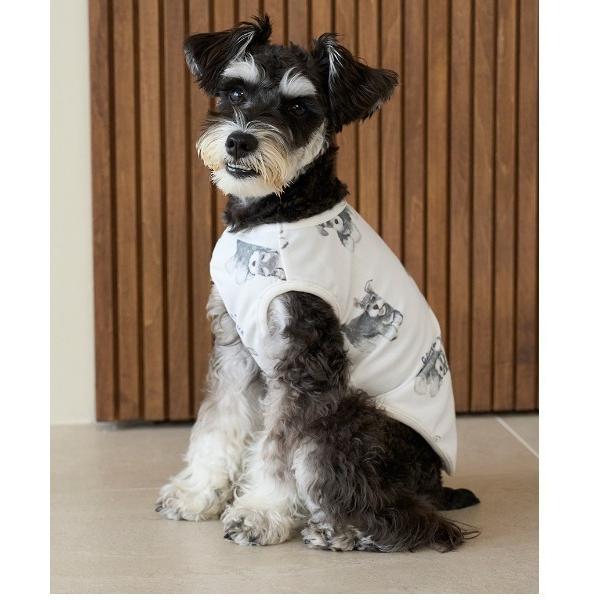 『タイムセール実施中』※このアイテムは返品・交換対象外商品です。ZOZO問い合わせ番号:99379935ショップ:gelato pique，ジェラート　ピケブランド:gelato pique，ジェラートピケ商品名:【CAT＆DOG】シュナウ...