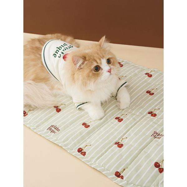 『LYPプレミアム会員価格：3465円　12月24日（水）11:59まで』※このアイテムは返品・交換対象外商品です。ZOZO問い合わせ番号:99931088ショップ:gelato pique，ジェラート　ピケブランド:gelato piqu...