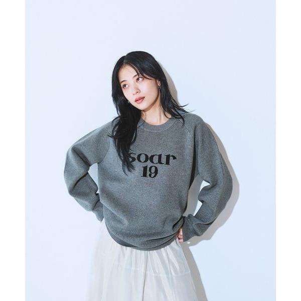 『セール実施中』ZOZO問い合わせ番号:100137708ショップ:JEANASIS，ジーナシスブランド:JEANASIS，ジーナシス商品名:【選べるサイズ】12G Wフェイスロゴプルオーバー/618841カテゴリ:トップス>ニット/...