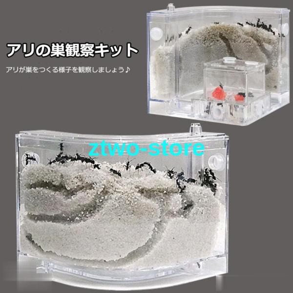 爆買アリの巣　あり観察キット　アリの巣観察キット　アリ　巣　観察　飼育ケース　砂　自由研究 小学生 キット あり 蟻 飼育セット 実験セット 観察 工作 男の子　女の子　夏休み　学習用　おもしろ実験　