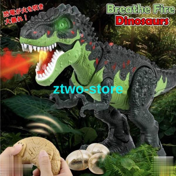 ztwo-store_ml240518-wj70
