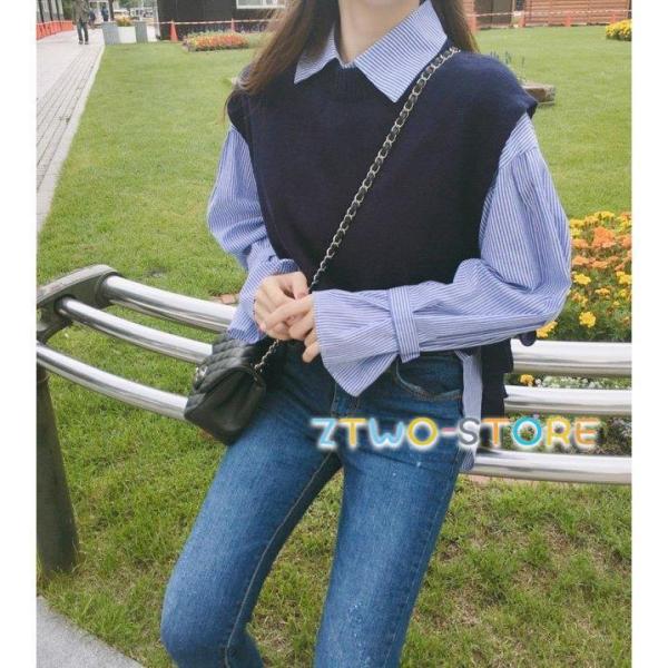   ストライプ長袖シャツとベストセット 3L fkc396.jpg