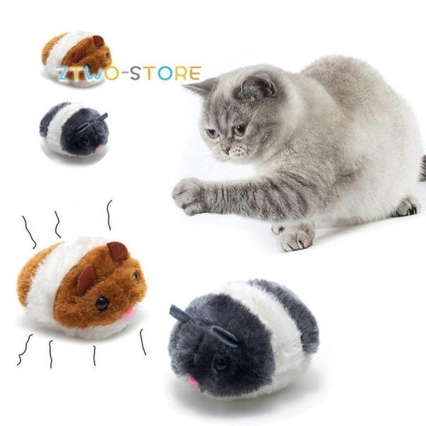 L ʂ ybg 2Zbg  lY~ ybg^s aMtg v[g 