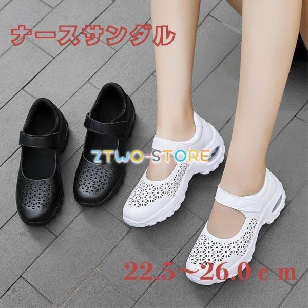 傫TCY i[XT_ C  i[XV[Y EI[LO ԗd p _CGbg fB[X Ōt D^ r  y ʋC ʋ