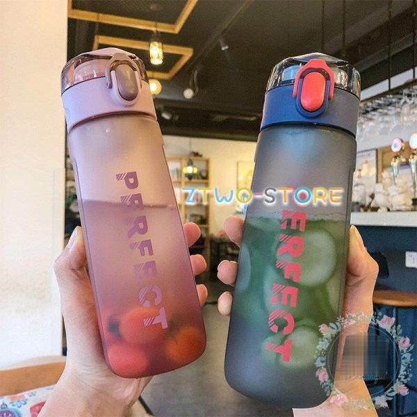   vX`bN{g e y ֗ IV ins ̑ K g[jO 500ml  q l ʋ.ʊw ^ X|[c {g Rbv