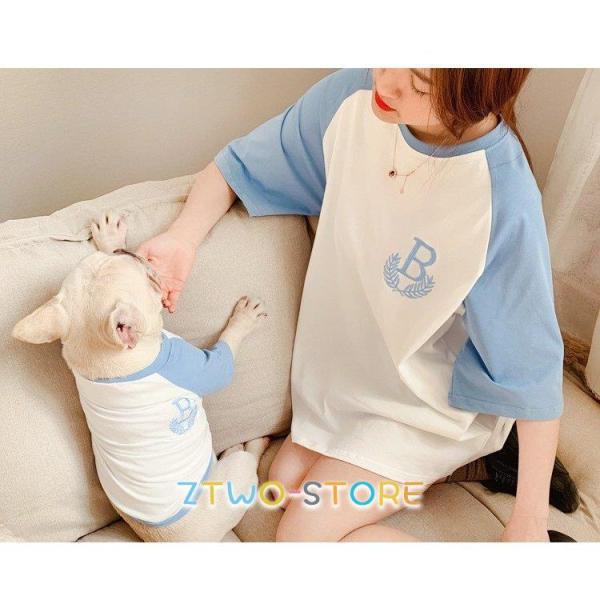 eqR[f ̗m  ^ ybgƂ̕ ĕVc ̕ t[X g[i[ ybg yAbN LƂ L̕ U