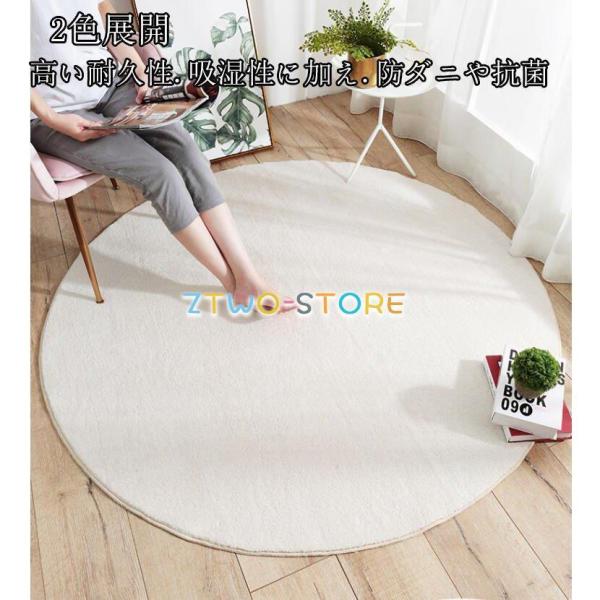 ラグ カーペット 丸 ラウンド ztwo-store_ztwo1223-dt147