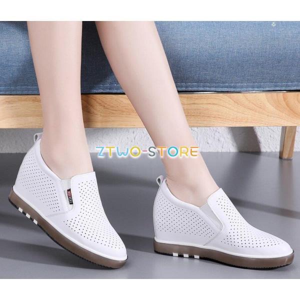 QFL fB[X Xj[J[ Xb| JWA Cq[  n ʋC r 22`25cm