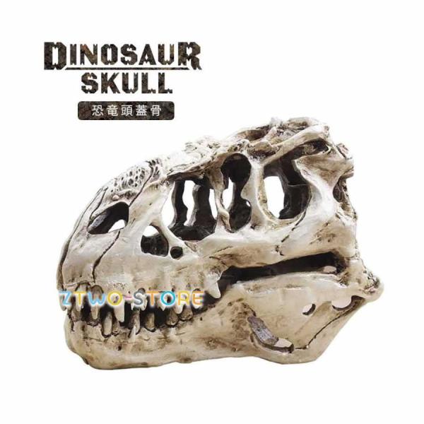 ハウライト　恐竜の頭蓋骨の彫り物　特大 61MqI0s9RFL._AC_UF350,
