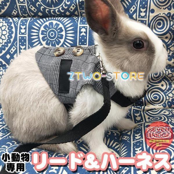 うさぎ ウサギ ハーネス リード 付 小動物 モルモット
