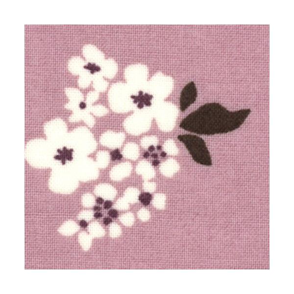 y202102Ezpb`[Nn/t@ubN/vg/sNn/ԕ/30`10Pʂ̐؂蔄i110cm F͐3`j