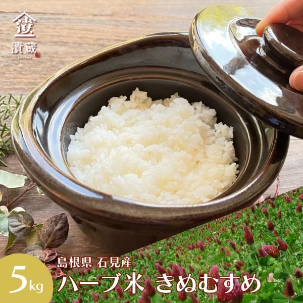 米 白米 ハーブ米きぬむすめ きぬむすめ いづよね 島根県産 平成30年産 5kg 一汁一菜 Ko 004 5k 漬蔵yahoo ショップ 通販 Yahoo ショッピング